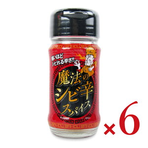 yX[p[SALE!ő2000~OFFN[|zz!zstt@Ct[YWp @̃VrhXpCX 30g × 6