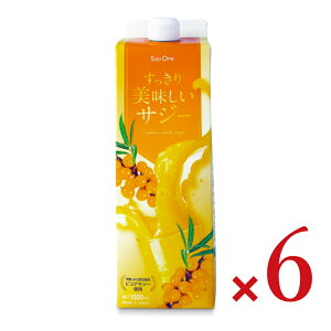 yX[p[SALE!ő2000~OFFN[|zz!zstTW[ TW[ 1000ml × 6{