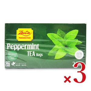 �y�}���\������N�[�|���z�z���z�[�X�^ �y�p�[�~���g�e�B 1.5g×20TB × 3�y�܂Ƃߔ����z