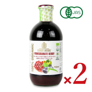 stGEORGIAfS NATURALiW[WAY i`jI[KjbN&~bNXx[ 100%Xg[gW[XE750ml × 2{ L@JAS