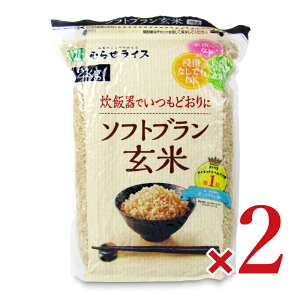 stނ点 \tgu2kg × 2