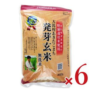 st劃܂Yҋ ʍ͔|đ劃܂茺ēS 850g × 6