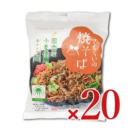 【マラソン限定クーポン配布中】《送料無料》桜井食品 さくらいの焼そば 114g × 20袋入【まとめ買い】
