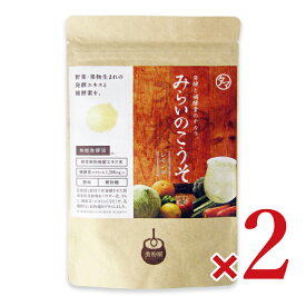 【マラソン限定クーポン配布中】《メール便送料無料》九南サービス みらいのこうそ レモン味 100g × 2個【まとめ買い】