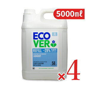 y}\!ő2000~OFFN[|zz!zstGRx[ h[Lbh eʃpbN 5000ml × 4{