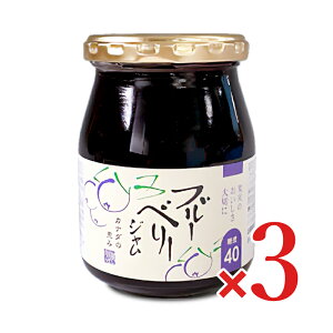 伊豆フェルメンテ ブルーベリージャム 300g × 3本 【ジャム ブルーベリー】