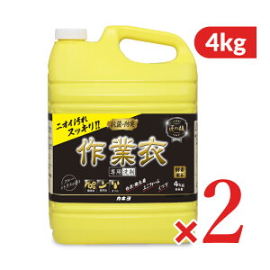 JlΌ ̋Z ƈߐpt̐ 4kg × 2