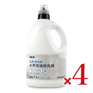 JlΌ RہEߗp 2.4kg × 4{