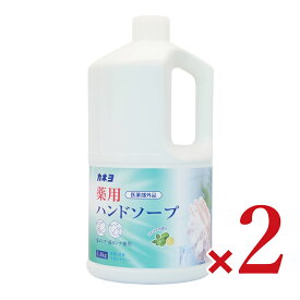 【マラソン限定クーポン配布中】カネヨ石鹸 薬用ハンドソープ 1.4kg × 2本 【 まとめ買い 】