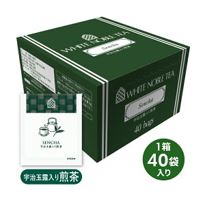 yX[p[SALE!ő2000~OFFN[|zz!zO_ WN zCgm[u FʘI@TB 40P