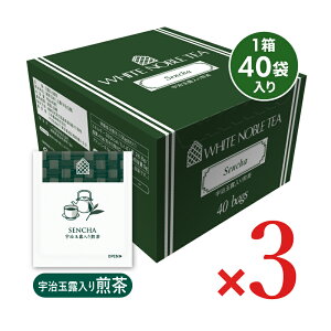 yX[p[SALE!ő2000~OFFN[|zz!zO_ WN zCgm[u FʘI@TB 40P × 3