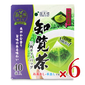 【マラソン限定クーポン配布中】国太楼 抹茶入り知覧茶 三角TB 40P × 6個 【 まとめ買い 】