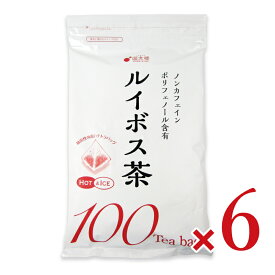 【マラソン限定クーポン配布中】《送料無料》国太楼 ATルイボス茶 TB 100P × 6個 【 まとめ買い 】