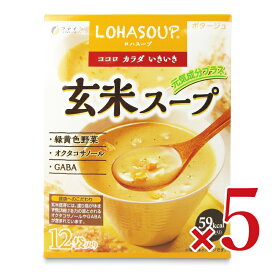 【マラソン限定クーポン配布中】《送料無料》ファイン 玄米スープ12袋 × 5個 【 まとめ買い 】