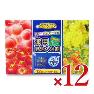 yX[p[SALE!ő2000~OFFN[|zz!zCIP~J oXt pA t[c&t[ 12 i4×3j