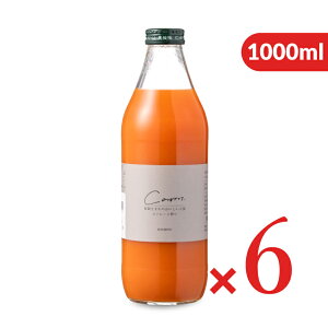 st ፑ܂̂lQW[X 1000ml × 6{ P[X̔