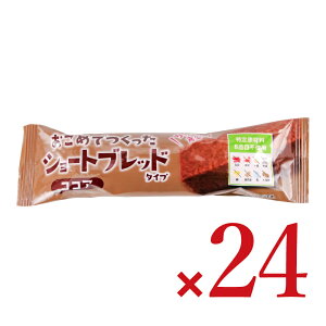 劃܂ ߂łV[gubh RRA 12{ P[X̔