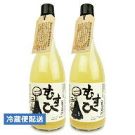 寺田本家 発芽玄米酒 むすひ 720ml × 2本【 ギフト プレゼント ご挨拶 贈答用 まとめ買い 】