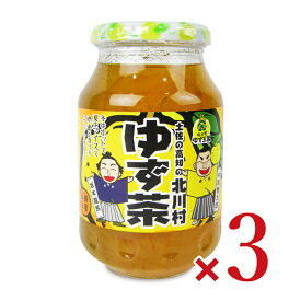 北川村ゆず王国 ゆず茶 570g × 3個 【 まとめ買い 】