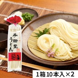 【マラソン限定クーポン配布中】《送料無料》ヤマダイ 手緒里うどん [250g×10本] × 2箱【 まとめ買い 箱買い ケース販売 乾麺 極太麺 長岡 光沢 コシ 風味 熟成 大容量 島田掛け 】