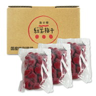 《送料無料》海の精 国産特栽・紅玉梅干1.5kg