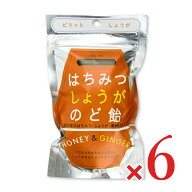 《メール便 送料無料》クインビーガーデン はちみつしょうがのど飴 40g × 6袋 【 まとめ買い 】
