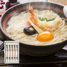 【マラソン限定クーポン配布中】海津屋 氷見うどん細麺(国産小麦100%使用) 1箱[ 200g × 5本 ] 【 北陸 ご当地 ご挨拶ギフト メーカー包装済み 富山 国産 手延べ コシ 弾力 喉ごし ざるうどん 秋ギフト 】