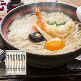 【マラソン限定クーポン配布中】海津屋うどん細麺(国産小麦100%使用) 1箱[ 200g × 7本 ] 【 北陸 ご当地 ご挨拶ギフト メーカー包装済み 贈答用 富山 国産 手延べ コシ 弾力 秋ギフト 】