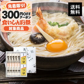 【マラソン限定クーポン配布中】《送料無料》 海津屋 氷見うどん セット 細麺（国内産小麦100%使用) 1箱[ 200g × 5本 つゆ5袋 × 2個 ] 【ご挨拶ギフト メーカー包装済み 国産 富山 贈答用 つゆ 手延べ 希釈 秋ギフト 】