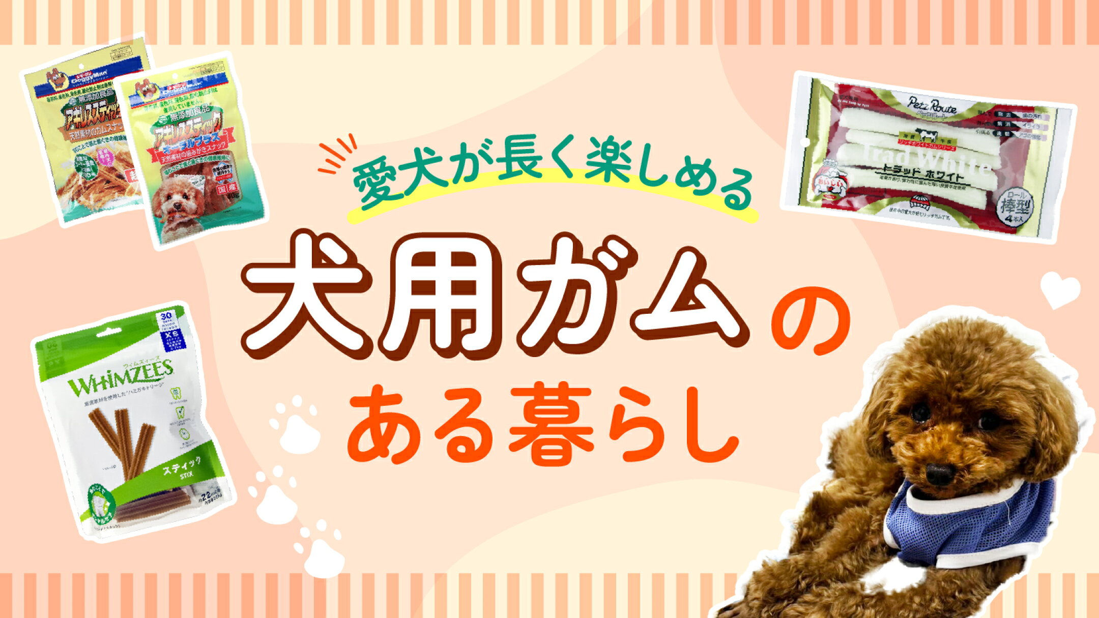 愛犬が長く楽しめる犬用ガムのある暮らし