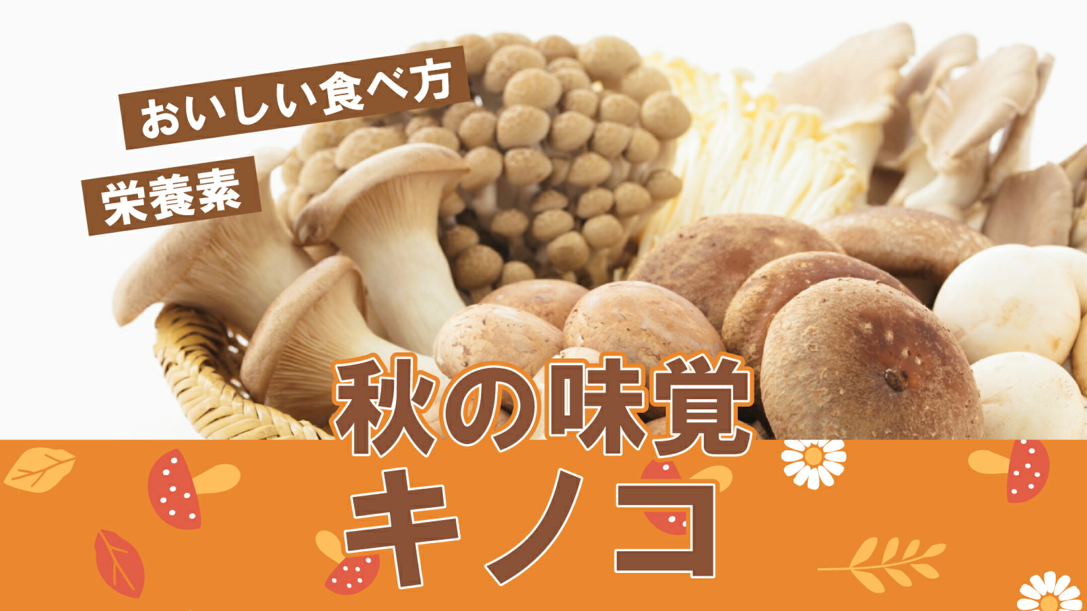 秋の味覚、キノコ｜にっぽん津々浦々