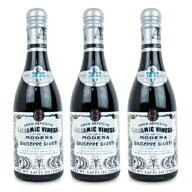 【マラソン限定クーポン配布中】《送料無料》 GIUSTI ジュスティ バルサミコ酢 1銀メダル 6年熟成 250ml …