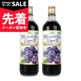 【スーパーSALE先着クーポン】《送料無料》野田ハニー ブルーベリー100%ジュース 720ml × 2本 【 まとめ買い 】