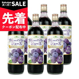 【スーパーSALE先着クーポン】《送料無料》野田ハニー ブルーベリー100%ジュース 720ml × 6本 【 まとめ買い 】
