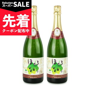 �y�X�[�p�[SALE�撅�N�[�|���z�s���������t��肭���܂����C�� �������C�� �ق��� �X�p�[�N�����O �� 750ml × 2�{ �y �܂Ƃߔ��� �z