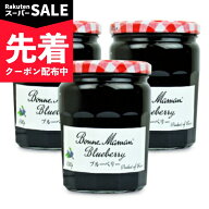 【スーパーSALE先着クーポン】《送料無料》エスビー食品 ボンヌママン ブルーベリージャム 750g × 3個【…