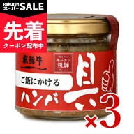 【スーパーSALE先着クーポン】飛騨ハム ご飯にかける飛騨牛ハンバ具ー 120g × 3個 【 食品 お肉 惣菜 牛…