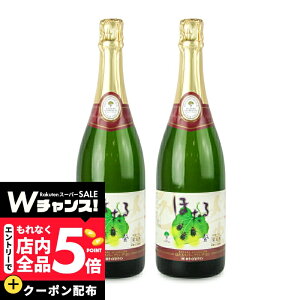 �y�X�[�p�[SALE �G���g���[P5�{�z�s���������t��肭���܂����C�� �������C�� �ق��� �X�p�[�N�����O �� 750ml × 2�{ �y �܂Ƃߔ��� �z