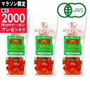 【マラソン限定クーポン配布中】ヒカリ 有機トマトケチャップ 300g × 3本 （チューブ）光食品 有機JAS 【 有機 オー…