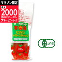 【マラソン限定クーポン配布中】ヒカリ 有機トマトケチャップ 300g （チューブ）光食品 有機JAS 【 有機 オーガニック…