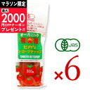 【マラソン限定クーポン配布中】ヒカリ 有機トマトケチャップ 300g × 6本 （チューブ）光食品 有機JAS 【 有機 オー…