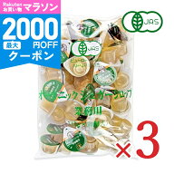 【マラソン限定クーポン配布中】《送料無料》サクラ食品工業 オーガニック シュガーシロップ 業務用 15g…