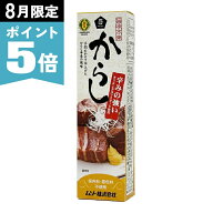 《8月限定ポイント5倍！》ムソー 旨味本来・からし チューブ 40g