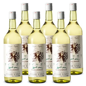 yX[p[SALE!ő2000~OFFN[|zz!zstє_ ܈킢 iCK  720ml × 6{ _h~ YmC Ìnyʎ C  ܈ꃏC iCA