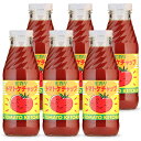 【マラソン限定!最大2000円OFFクーポン配布中!】光食品 トマトケチャップ 400g × 6個