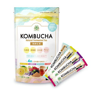 sܖԋ߂̂itRlNXe[W Ru` KOMBUCHA A\[ gZbg 4g×12{ 䏟R ygsԕiEstsܖ2025N118t