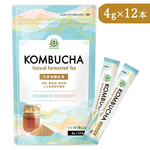 yubNtCf[!ő2000~OFFN[|zz!zRlNXe[W 䏟R KOMBUCHA XeBbN^Cv 4g×12{