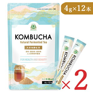 yubNtCf[!ő2000~OFFN[|zz!zRlNXe[W 䏟R KOMBUCHA XeBbN^Cv [4g×12{] × 2