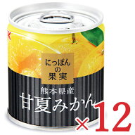 【マラソン限定クーポン配布中】《送料無料》にっぽんの果実 熊本県産 甘夏みかん 185g × 12缶 1 【 ま…
