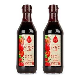 【マラソン限定クーポン配布中】内堀醸造 フルーツビネガー いちごの酢 360ml × 2本【まとめ買い】